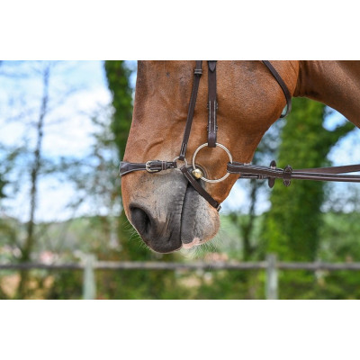 Muserolle allemande Jump'In Week Havane