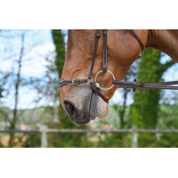 Muserolle allemande Jump'In Week Havane Marron