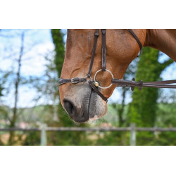 Muserolle allemande Jump'In Week Havane Marron