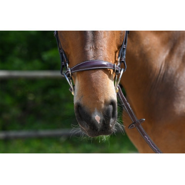 Muserolle hackamore Jump'In Acajou Bordeaux