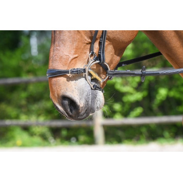 Muserolle hackamore Jump'In Muserolle hackamore Jump'In