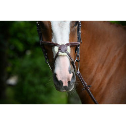 Muserolle Tuesday Jump'In Acajou Bordeaux