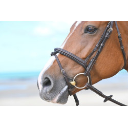 Muserolle Tuesday Jump'In Acajou Bordeaux