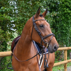 Œillères Week amovibles Jump'In Havane Marron