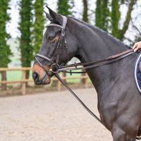 Rênes allemandes Jump'In cuir plat Acajou Bordeaux Rênes allemandes Jump'In cuir plat Acajou Bordeaux