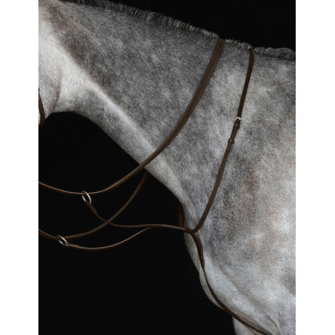 Martingale plate IV Collegiate Martingale plate IV Collegiate