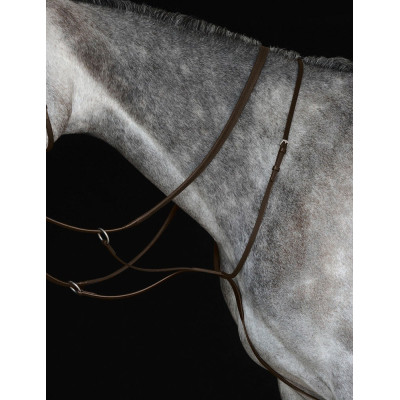 Martingale plate IV Collegiate Marron