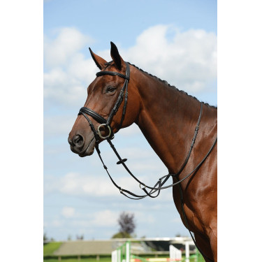 Martingale plate Syntovia+ Collegiate Martingale plate Syntovia+ Collegiate