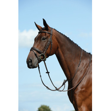 Martingale plate Syntovia+ Collegiate Marron