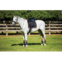 Tapis de selle de dressage Therapy-Tec Weatherbeeta Noir / argent / rouge Tapis de selle de dressage Therapy-Tec Weatherbeeta Noir / argent / rouge