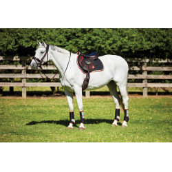 Tapis de selle Therapy-Tec Weatherbeeta Noir / argent / rouge Tapis de selle Therapy-Tec Weatherbeeta Noir / argent / rouge