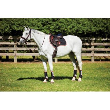 Tapis de selle Therapy-Tec Weatherbeeta Tapis de selle Therapy-Tec Weatherbeeta