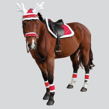 Chabraque Noël Equithème Chabraque Noël Equithème