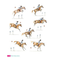 Cahier d'exercices Vigot Réussir ses galops 5 à 7 Cahier d'exercices Vigot Réussir ses galops 5 à 7