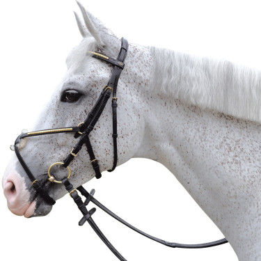 Bridon clencher croisé Canter Bridon clencher croisé Canter