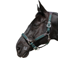 Licol Flags & Cup Nylon/cuir Marron / marine Licol Flags & Cup Nylon/cuir Marron / marine