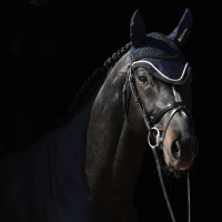 Bonnet anti-mouches Bucas Bleu marine / or