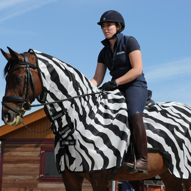 Couverture anti-mouches Zebra Bucas Buzz-Off Riding