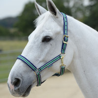Licol Bucas Dublin Rayée / bleu marine Multi-couleurs Licol Bucas Dublin Rayée / bleu marine Multi-couleurs