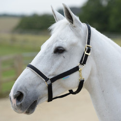 Licol Bucas Dublin Noir / argent