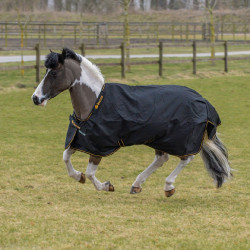 Couverture imperméable Bucas Irish Turnout 0g Noir / or Couverture imperméable Bucas Irish Turnout 0g Noir / or
