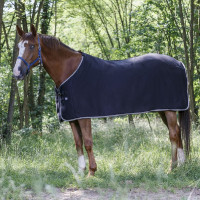 Chemise polaire Riding World Noir / gris