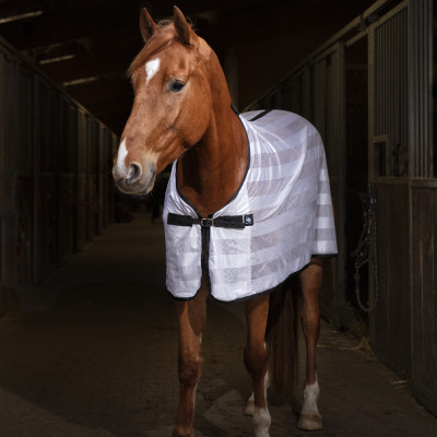 Chemise Riding World Mesh Blanc