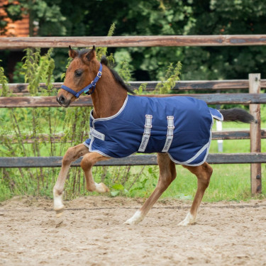 Couverture poulain Bucas Turnout 50g Couverture poulain Bucas Turnout 50g