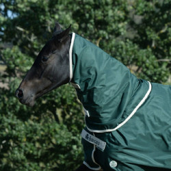 Couvre-cou Bucas Greenline Vert / crème