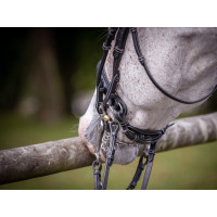 Bride de dressage vernie Jump'In week Noir Bride de dressage vernie Jump'In week Noir