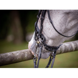 Bride de dressage vernie Jump'In week Noir Bride de dressage vernie Jump'In week Noir