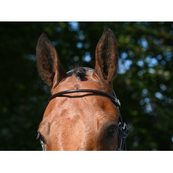 Frontal Jump'In verni rond Havane Marron