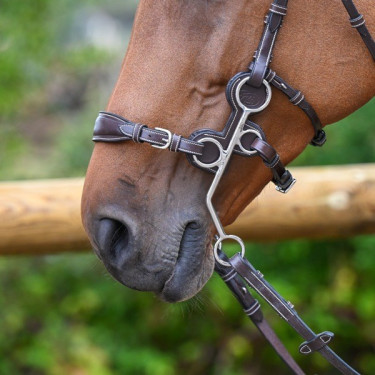 Protections Jump'In pour hackamore 0091 et 0092 Protections Jump'In pour hackamore 0091 et 0092