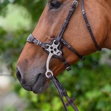 Protections Jump'In pour hackamore 0093 Protections Jump'In pour hackamore 0093