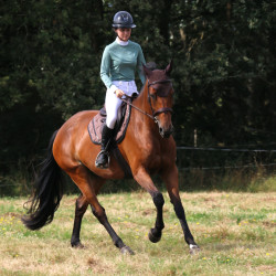Polo de concours Flags & Cup Isla manches longues Vert