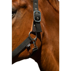 Licol Breakaway 2 HKM Noir Licol Breakaway 2 HKM Noir