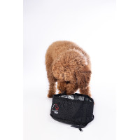 Gamelle de voyage pour chien Buddy HKM Noir Gamelle de voyage pour chien Buddy HKM Noir