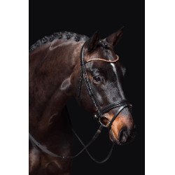Bridon Rosegold Glamour Style HKM Noir / or rose Bridon Rosegold Glamour Style HKM Noir / or rose