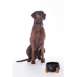 Gamelle pour chien Buddy céramique HKM Noir Gamelle pour chien Buddy céramique HKM Noir
