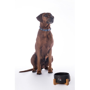 Gamelle pour chien Buddy céramique HKM Gamelle pour chien Buddy céramique HKM