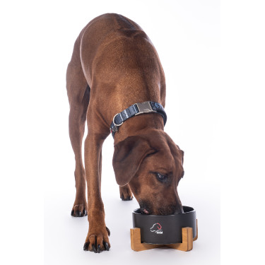 Gamelle pour chien Buddy céramique HKM Gamelle pour chien Buddy céramique HKM