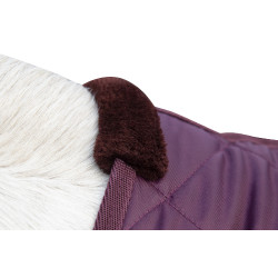 Couverture de boxe Winter HKM Rouge foncé