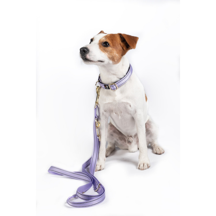 Laisse de dressage pour chiens Qooper nylon HKM Laisse de dressage pour chiens Qooper nylon HKM