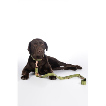 Laisse de dressage pour chiens Qooper nylon HKM Laisse de dressage pour chiens Qooper nylon HKM