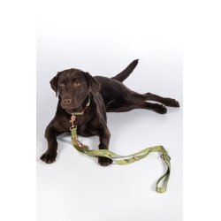 Laisse de dressage pour chiens Qooper nylon HKM Pistache Vert