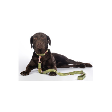 Laisse de dressage pour chiens Qooper nylon HKM Laisse de dressage pour chiens Qooper nylon HKM