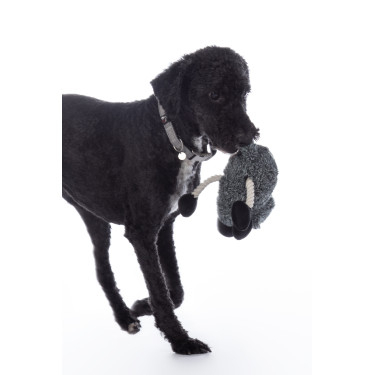 Jouet pour chien Buddy Sheep HKM Jouet pour chien Buddy Sheep HKM