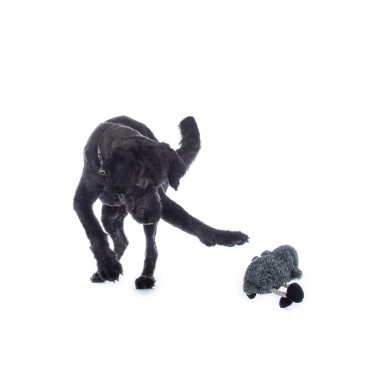 Jouet pour chien Buddy Sheep HKM Jouet pour chien Buddy Sheep HKM