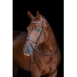 Bridon Lou HKM Marron