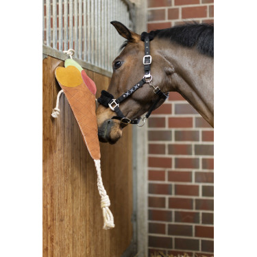 Jouet pour chevaux Ice cream HKM Jouet pour chevaux Ice cream HKM